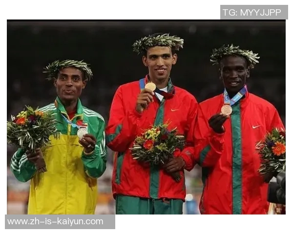 《追逐绿茵梦想 足球黑人球星的奋斗与荣耀之路》 《追逐绿茵梦想 足球黑人球星的奋斗与荣耀之路》